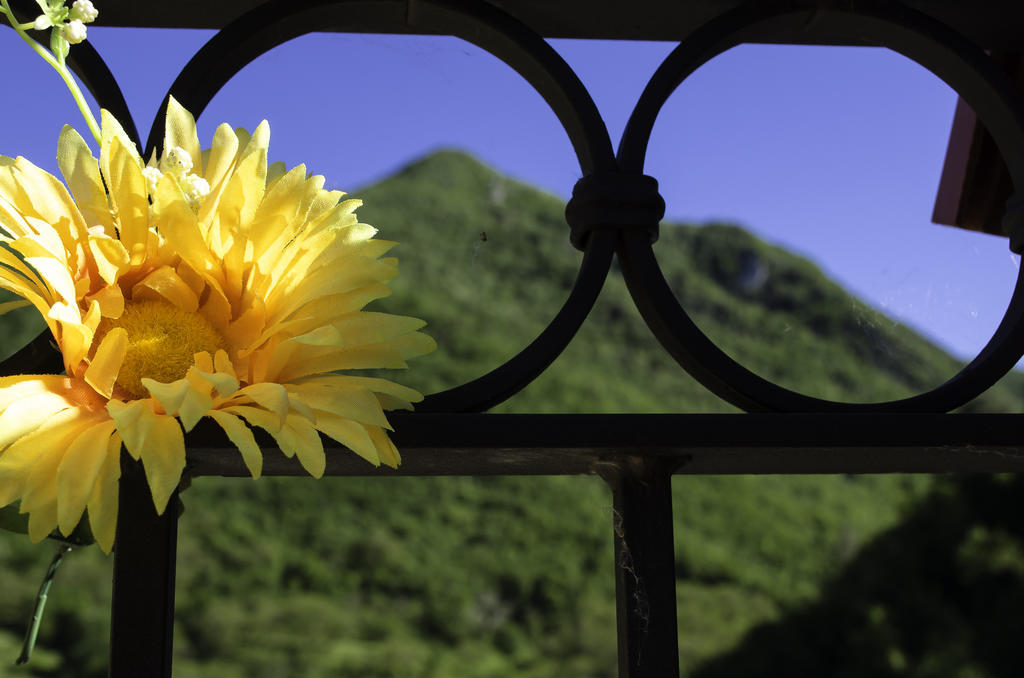Agriturismo Pompagnano المظهر الخارجي الصورة